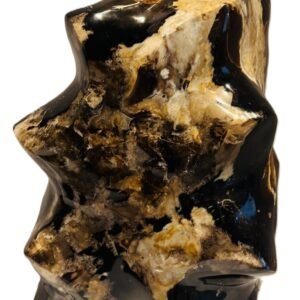 Carved black opal flame specimen sians emporium Polished black opal flame carving displaying glossy jet black body tone creamy tan veining and natural matrix patterns on an isolated white background